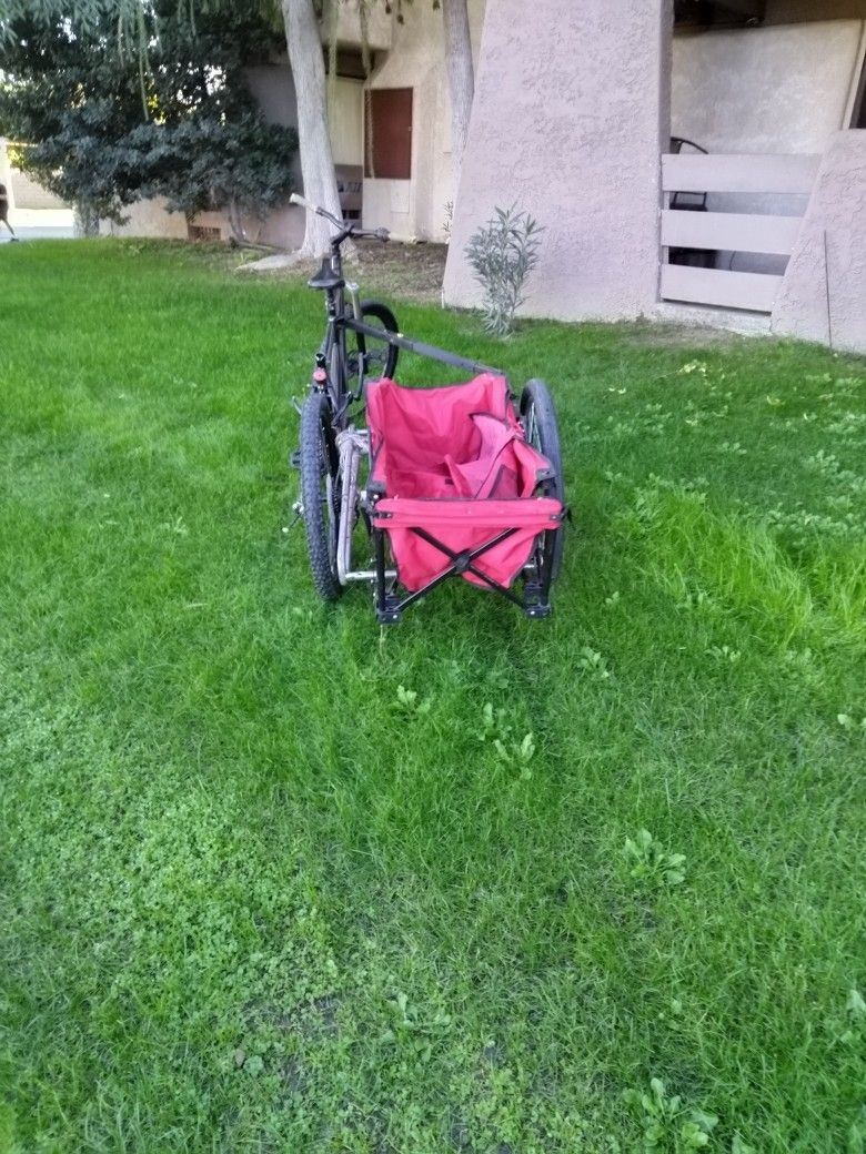 Too Man Bike With Side Car