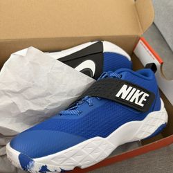 Nike  Team Hustle D 12 (GS)