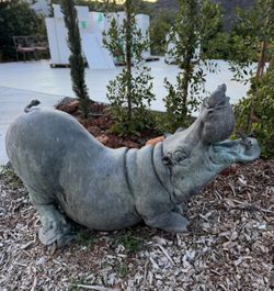 Life Size Bronze Hippo 