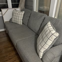 Sofa and Loveseat 