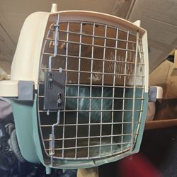 Pet Carrier 