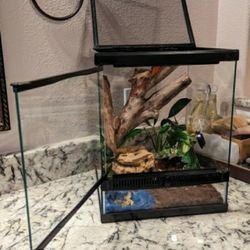 Vertical Terrarium 