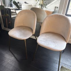 Dining Room Chairs 