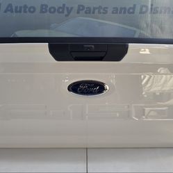 2021-2025 FORD F150 F-150 TAILGATE 