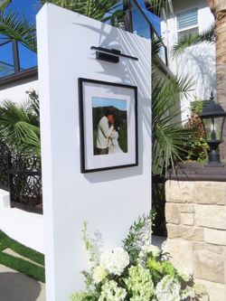 Photo Board Backdrops