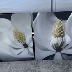 Floral Canvas Paintings 