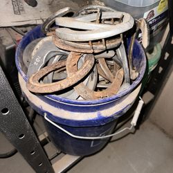 Horse Shoes 