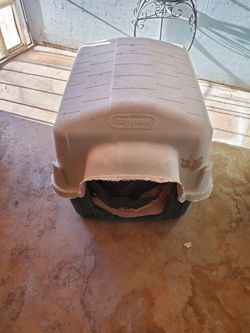 Dog house