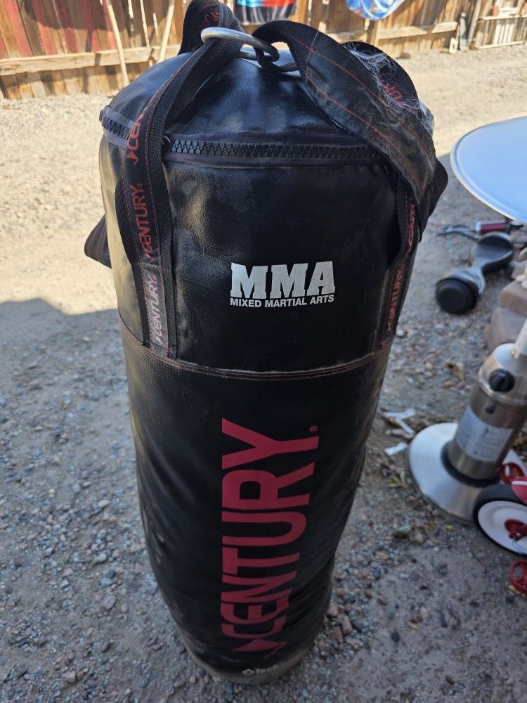 Punching Bag