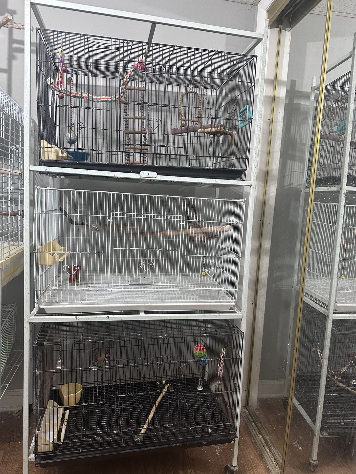Urgent Aviary Downsize Sale
