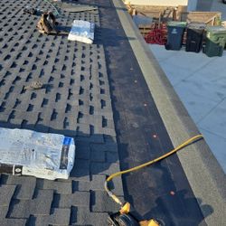Shingle