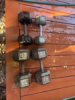 Cast Iron Dumbells