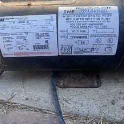 Jacuzzi Swimming Pool Pump 