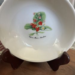 Vintage porcelain bowl “Virginia Meadow Strawberry”Made In Japanese Set Of 2