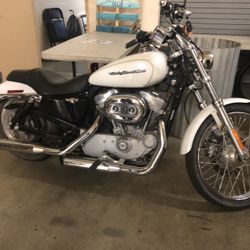 Harley Davidson 883C sportster custom