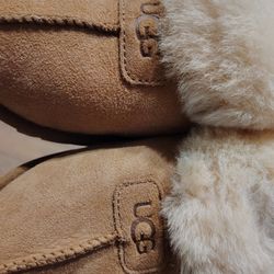UGG Slippers 