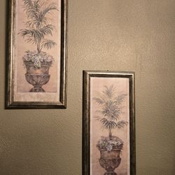 Plant Paintings