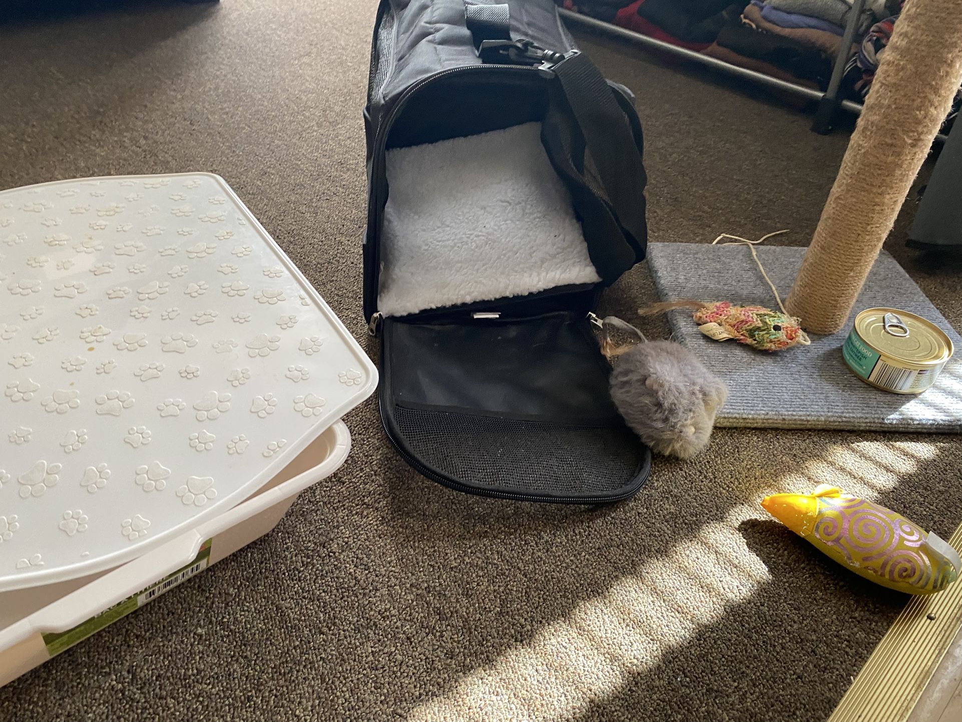 Cat Supplies 