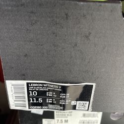 Mens Lebrons