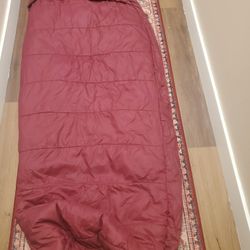 Big Agnes Lulu Sleeping Bag 
