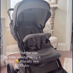 Nuna Stroller 