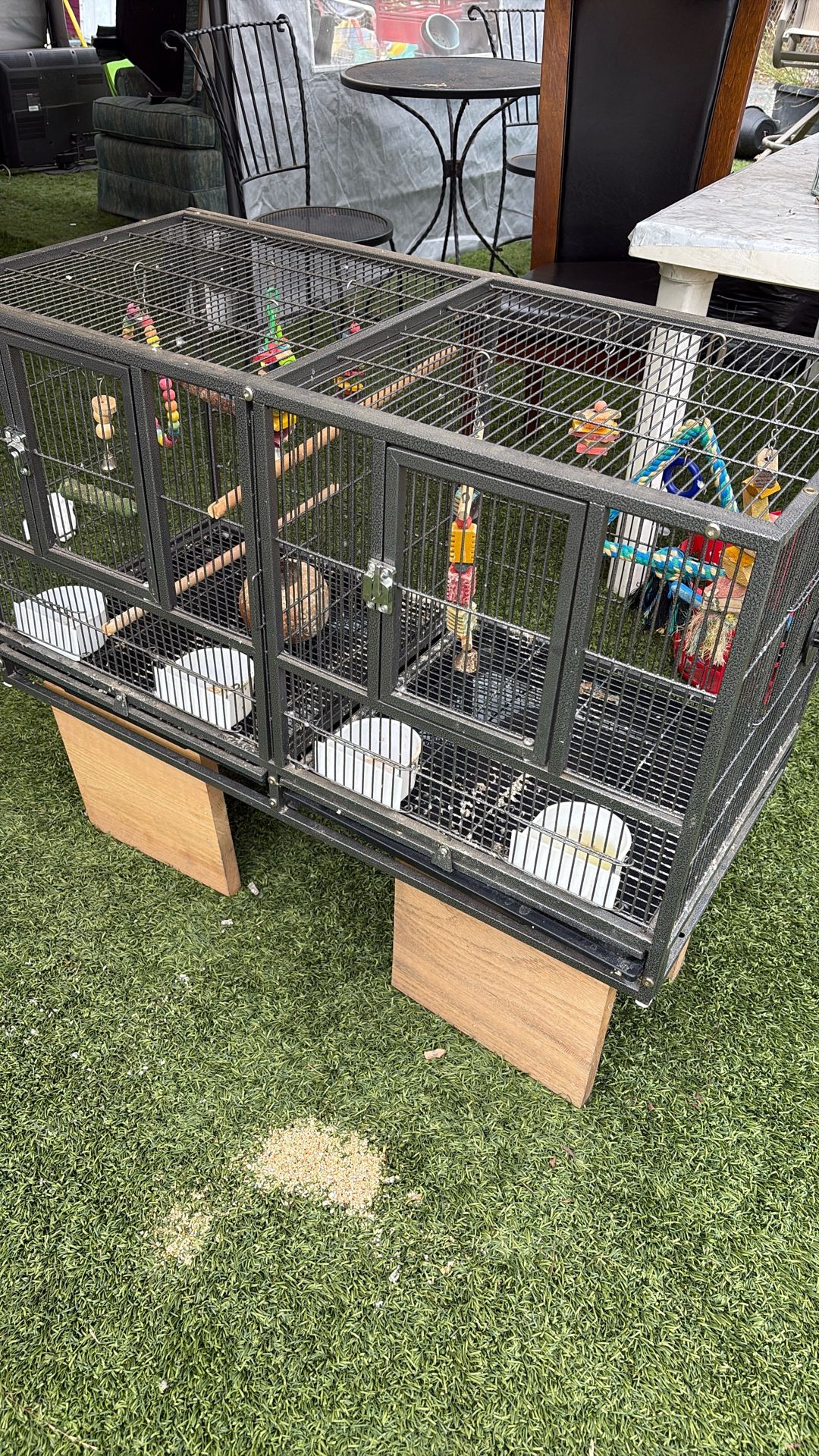 Bird Cage