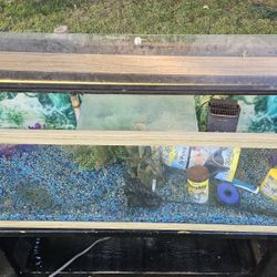 75 Gal Fish Tank