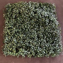 Artificial Panels Have About 15pc