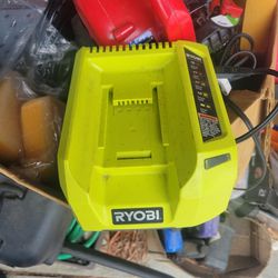 Ryobi 40 Volt Battery Charger 