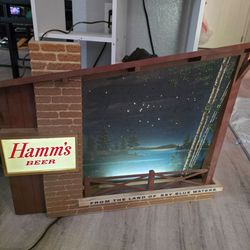 Hamm's Beer Starry Night