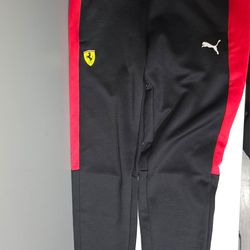 Ferrari Men's Pants