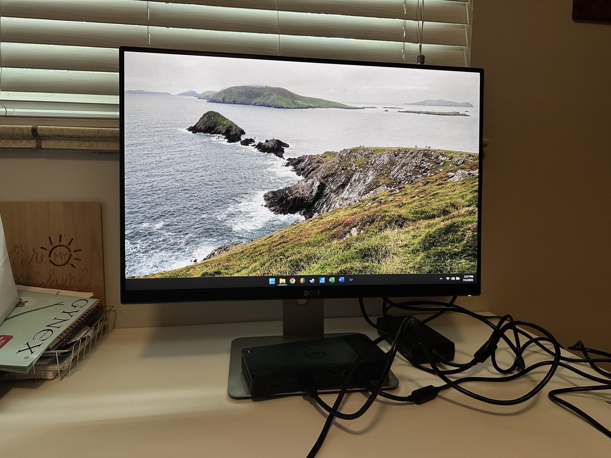 Dell 24” FHD Monitor W/ Dell Docking Station