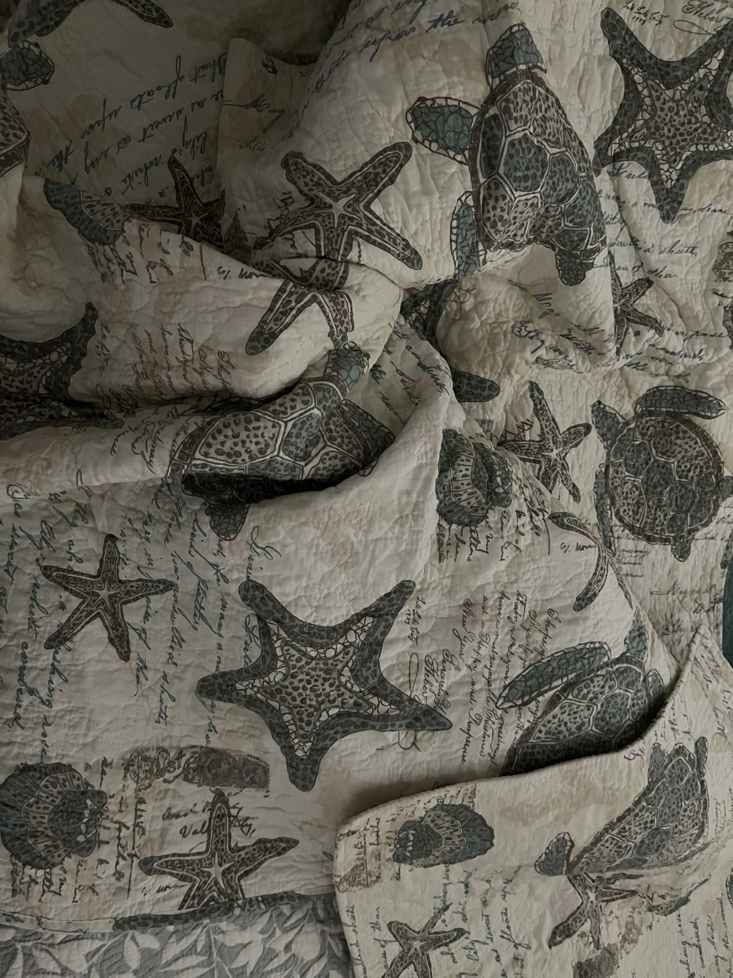 Queen Size Quilt With Shams