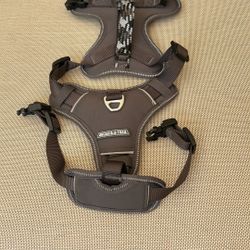 Arcadia Trail Quick Dry Dog Harness