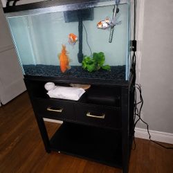 Fish Tank /fish And Stand