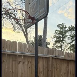 Basket Ball Hoop 