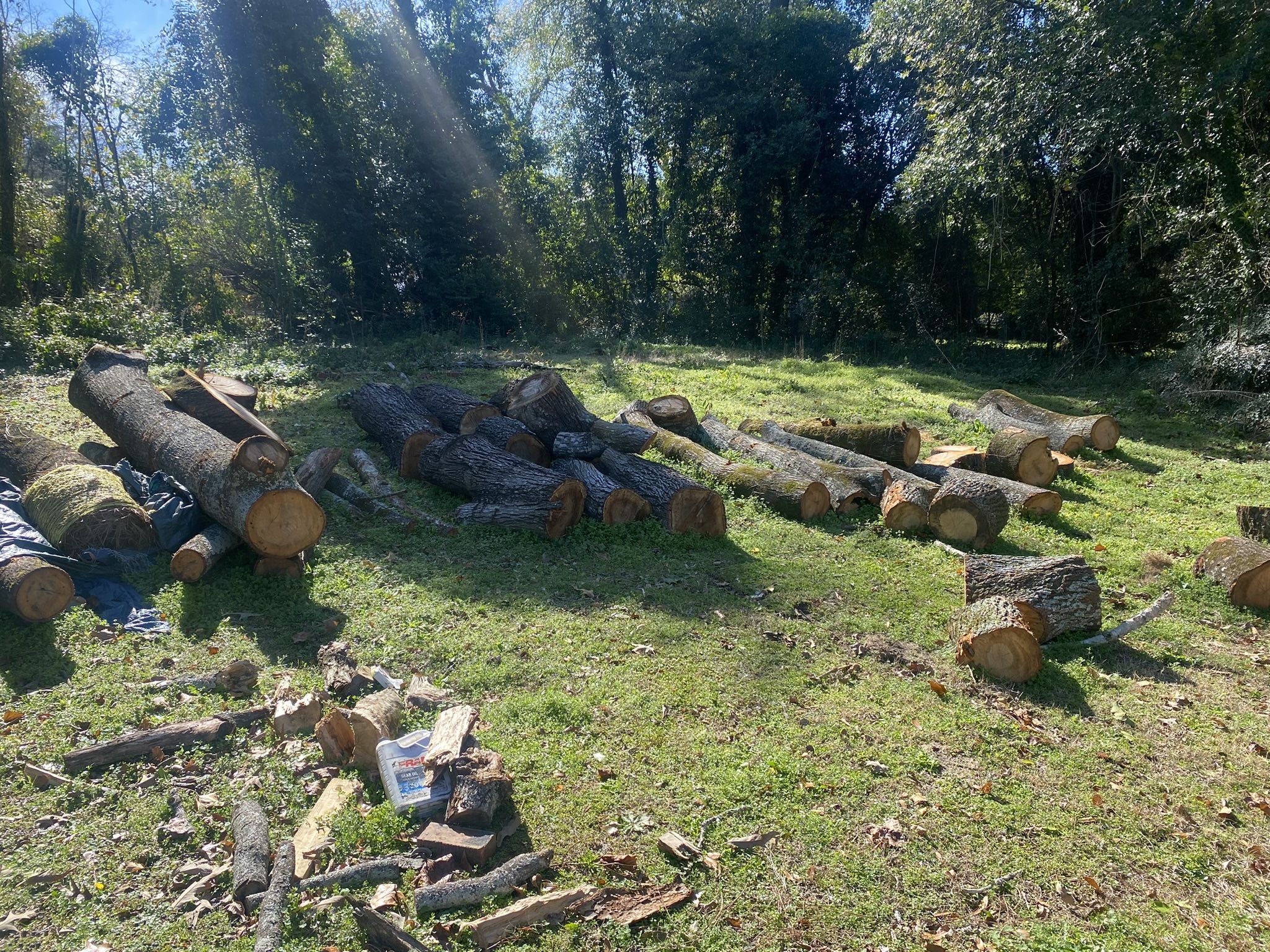 Fire Wood We Have A Deal For You