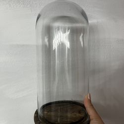 Glass Dome For Plants And Decor (4 In Total) 