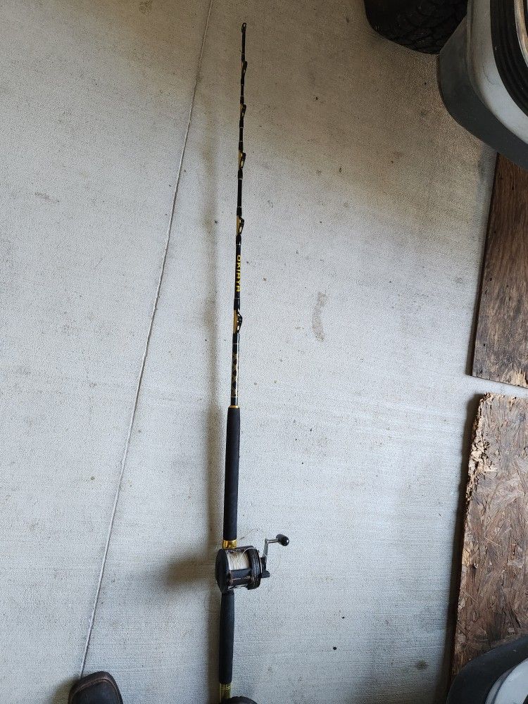 Fishing Pole 