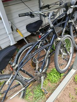 Bikes for both