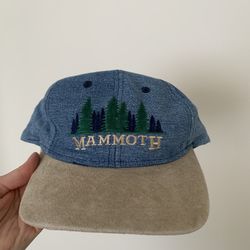 Vintage Mammoth Hat, One Size Fits All