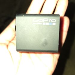 GO PRO DUAL BATTERY CHARGER 