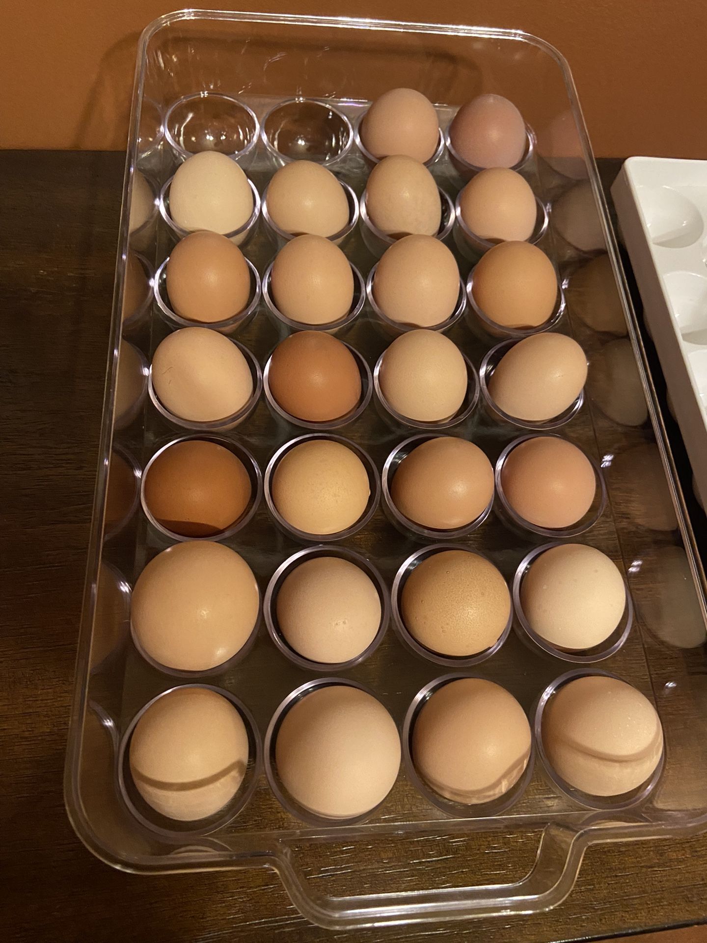 Fresh Eggs 🥚 5 the dozen