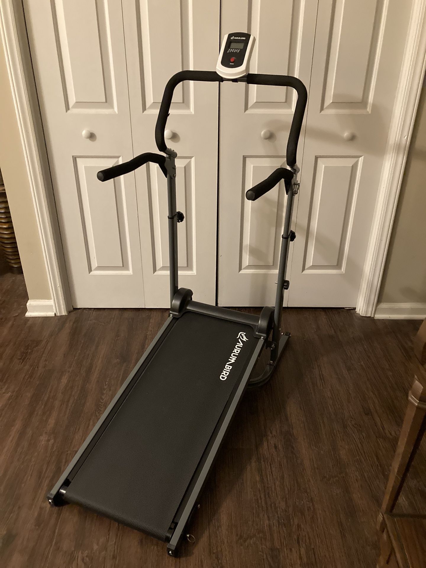 Manual Treadmill (Aurum Bird)