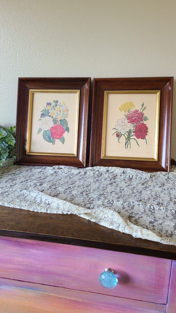 Two Botanical Prints In Vintage Frames