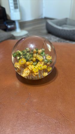 Paperweight  Daisyglas Lucite Resin