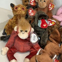Beanie Babies 