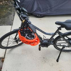 Priority Current Ebike (Charcoal, Enviolo Cvt)