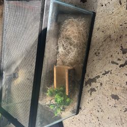Reptile Cage