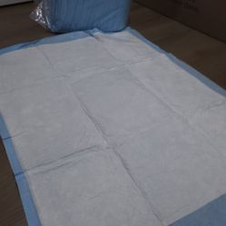 Absorbent Training Pads
